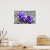 Violet, Poster (Keuken)