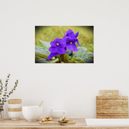 Violet, Poster (Keuken)