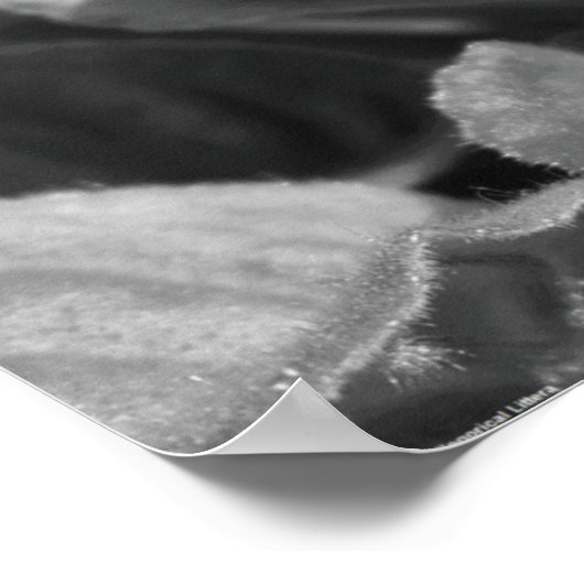 Violet, Poster (Hoek)