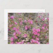 Violet Rays Struik Flower Briefkaart (Voorkant / Achterkant)