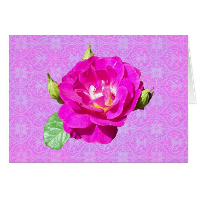 Violet Roos Damask (Voorkant Horizontaal)