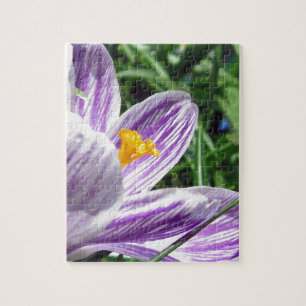 Violet Spring Crocus Legpuzzel