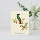 Violet Throated Hummingbird Art Briefkaart (Staand voorkant)