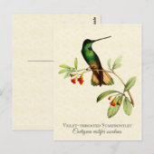 Violet Throated Hummingbird Art Briefkaart (Voorkant / Achterkant)