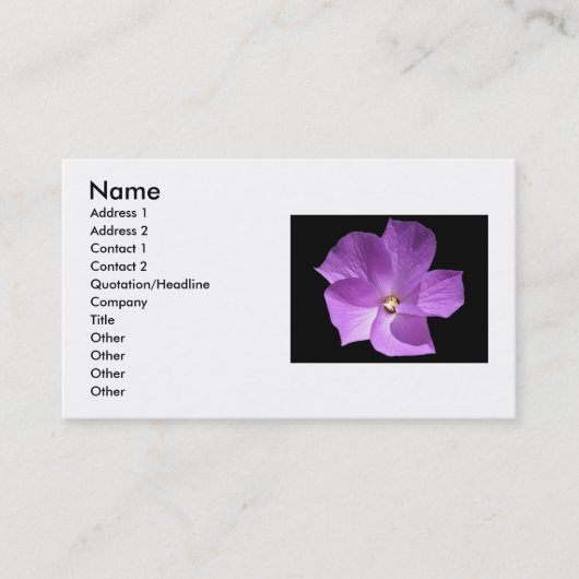 Violet Visitekaartje (Voorkant)