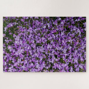 Violet Whispers in Bloom – 1014 stuks paarse flox  Legpuzzel