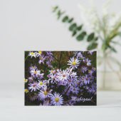 Violet Wild Aster Briefkaart (Staand voorkant)