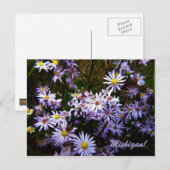 Violet Wild Aster Briefkaart (Voorkant / Achterkant)