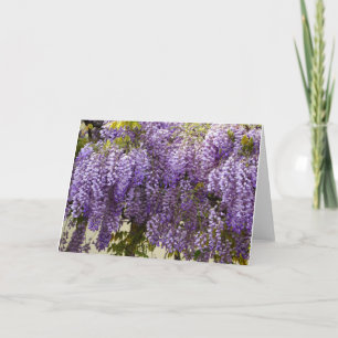 Violet Wisteria Flowers Kaart