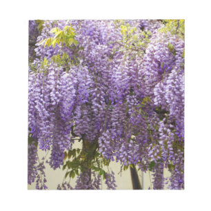 Violet Wisteria Flowers Notitieblok