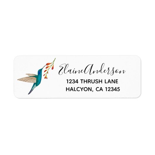 Violetar Hummingbird return address Label (Voorkant)