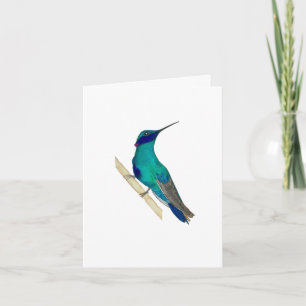 Violetar Hummingbird Wenskaart Kaart