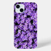 Violets coques iphone de fleurs violettes (Verso)