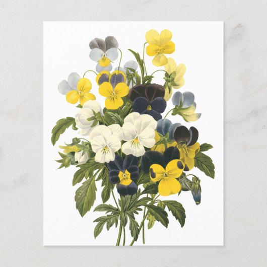Violets en pansy Flowers botanische kunst Flyer (Voorkant)