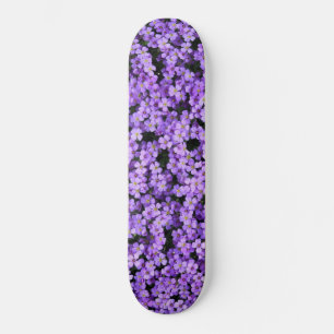 Violets Skateboard Violet Fleurs printemps violet