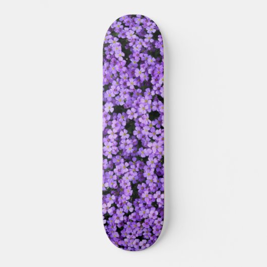 Violets Skateboard Violet Fleurs printemps violet (Recto)