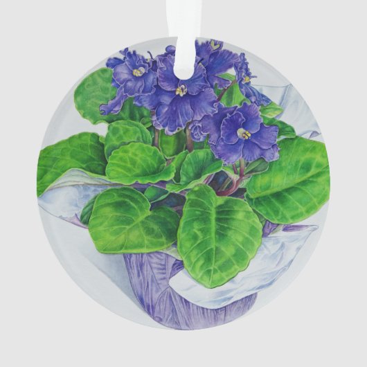 Violette africaine (dos)