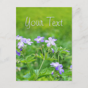 Violette bloemen op het veld briefkaart