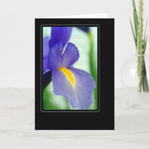 violette iris kaart