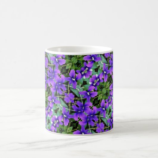 Violettes de Bois de Mug (Centre)