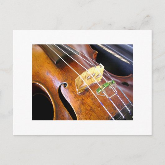 Violin Closeup Briefkaart (Voorkant)
