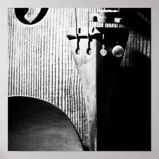 Violin Poster (Voorkant)