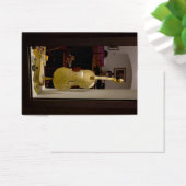 Violon Dans La Fenêtre Shopping (Bureau)