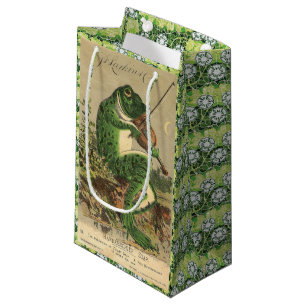 Violon jouant le sac de cadeau de grenouille