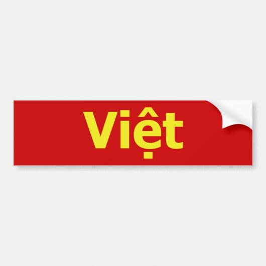 Vioott Bumpersticker (Voorkant)
