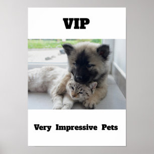 VIP Zeer Indrukwekkende Huisdieren Schattige katte Poster