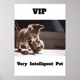 VIP Zeer Intelligent Pet Schattig Cat Poster