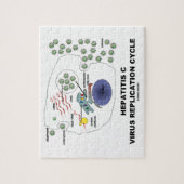 Virale replicatiecyclus van hepatitis C Legpuzzel (Verticaal)