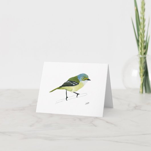 Vireo aux yeux blancs (Devant)