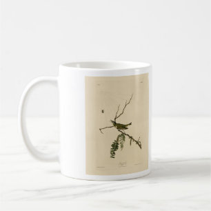 Vireo met rode ogen van de Amerikaanse vogels van  Koffiemok