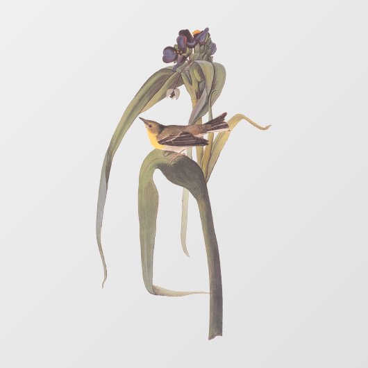 Vireo Songbird van Audubon Raamsticker (Vel)