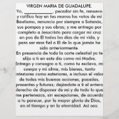 VIRGEN MARIA DE GUADALUPE-PRODUCTEN FLYER (Achterkant)