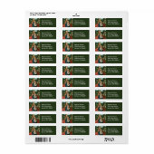 Virgin en kind in het landschap Provoost Fine Art Etiket (Full Sheet)
