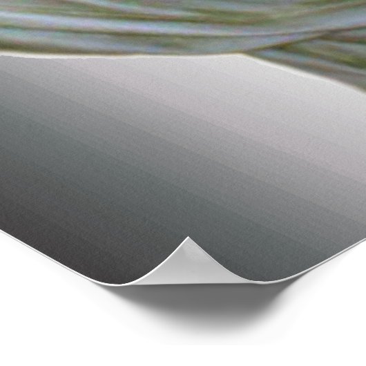 Virgin Mary Print (Hoek)