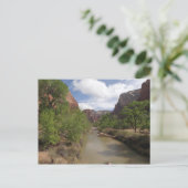 Virgin River in de lente in het Nationaal Park Zio Briefkaart (Staand voorkant)