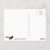 Virgin River in de lente in het Nationaal Park Zio Briefkaart (Achterkant)