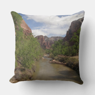 Virgin River in de lente in het Nationaal Park Zio Kussen