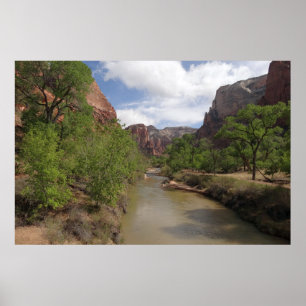 Virgin River in de lente in het Nationaal Park Zio Poster