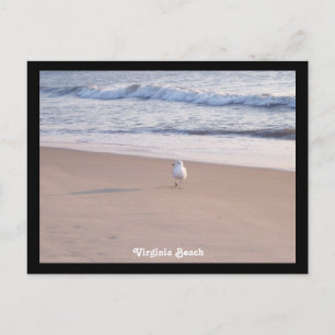 Virginia Beach Briefkaart