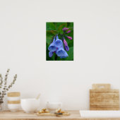 Virginia Bluebells, affiche (Cuisine)