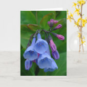 Virginia Bluebells, carte (Fleur jaune)