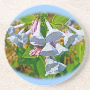 Virginia Bluebells Wildflower Zandsteen Onderzetter