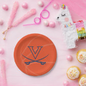 Virginia Cavaliers Basketball Papieren Bordje (Feest)