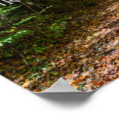 Virginia Creeper Trail Poster (Hoek)