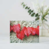 Virginia Creeper verlaat Briefkaart (Staand voorkant)