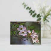 Virginia Dogwood Briefkaart (Staand voorkant)